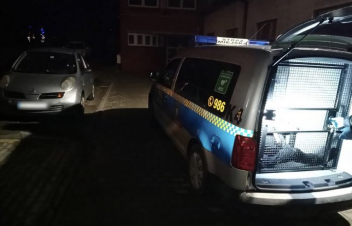 straz miejska gliwice noc