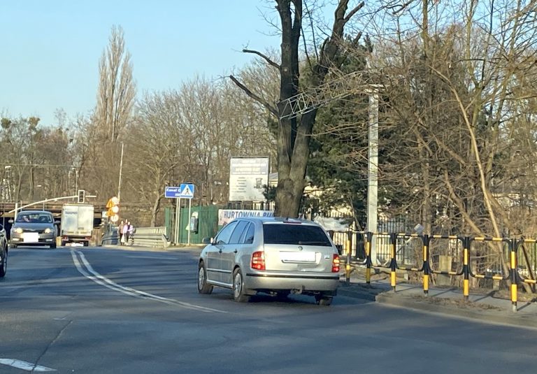 Ten park w końcu doczeka się modernizacji. Nie wytną żadnego drzewa