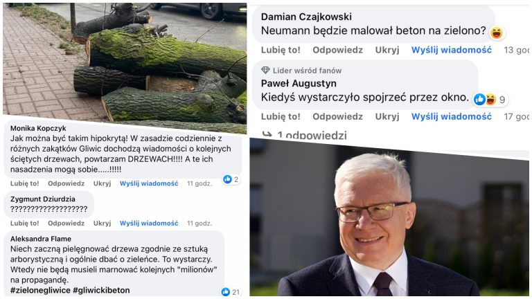Urząd stworzył akcję „Zielone Gliwice”. Internauci nie pozostawili suchej nitki