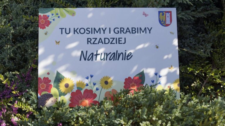 W Gliwicach nie będą kosić trawy. Tablice wyjaśniają dlaczego