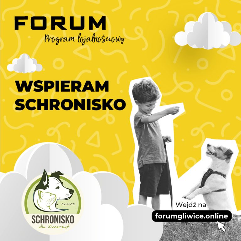 Cegiełki pomocy od klientów Forum