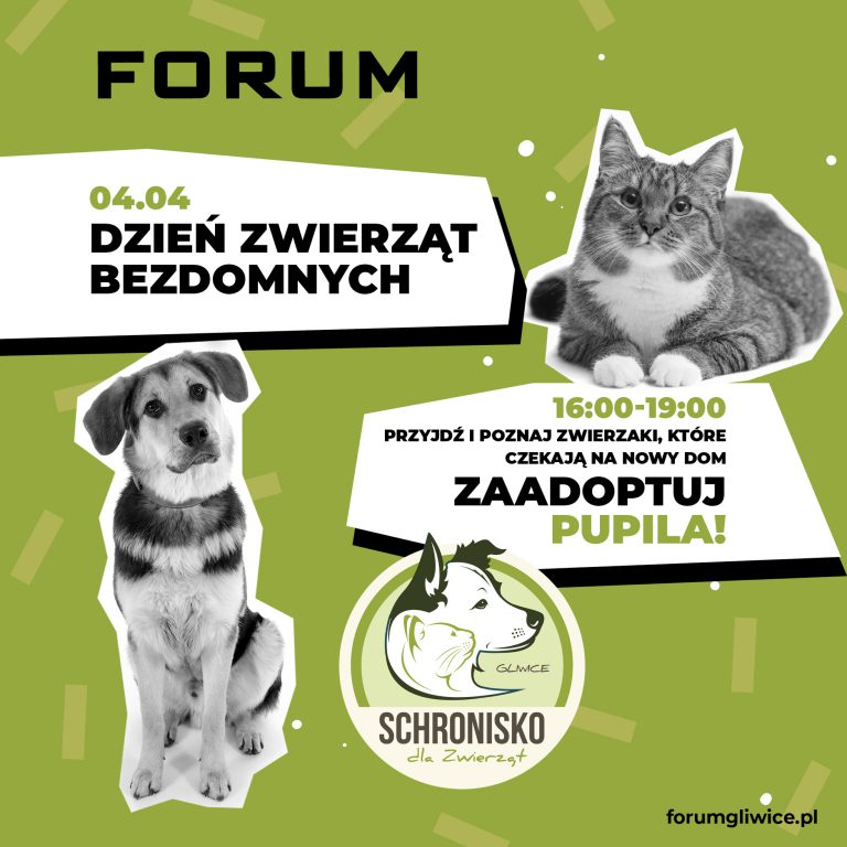Nowy dom dla psa i kota. Adoptuj w Forum