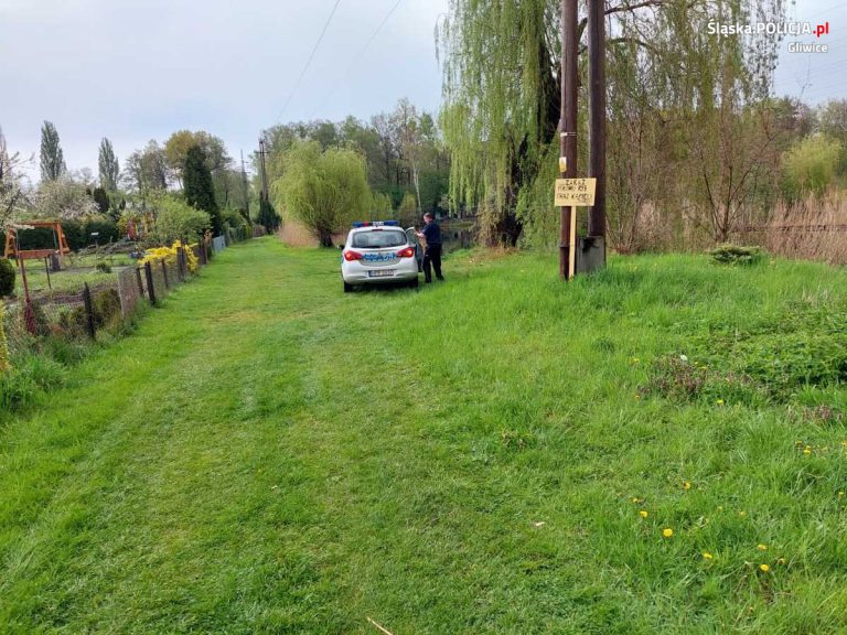 Niebezpieczne znalezisko podczas czyszczenia stawu w Gliwicach