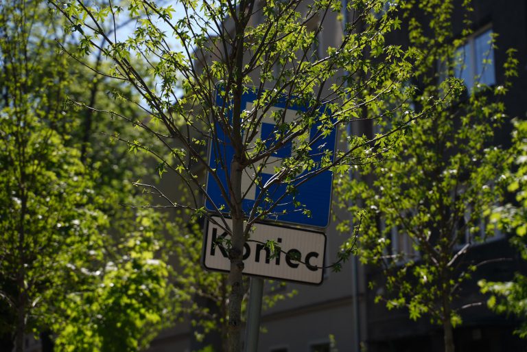 Kierowca: „Drzewka sadzone są bezmyślnie, byle więcej, bo trzeba ratować prezydenta”
