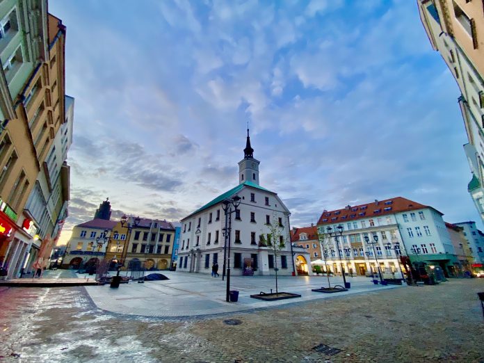 rynek gliwice drzewa