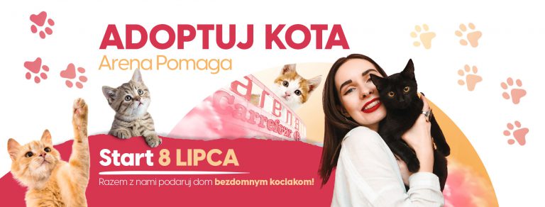 Adoptuj kota w PH Arena Gliwice