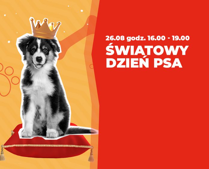 FORUM swiatowy dzien psa news x