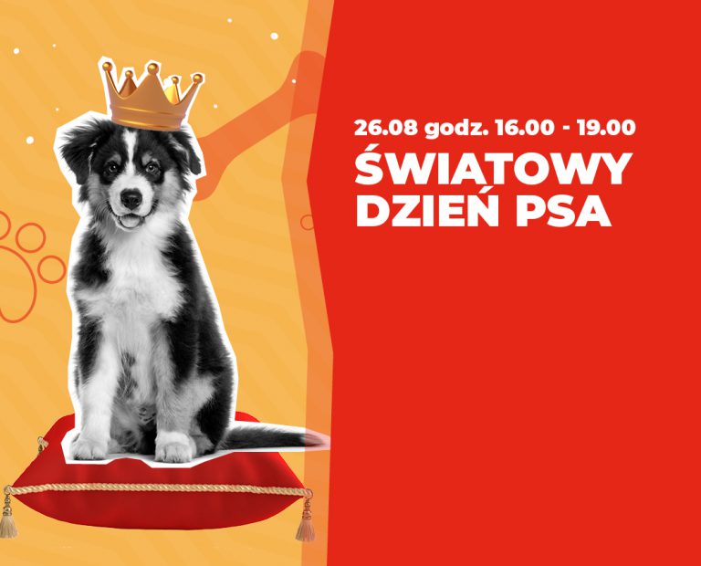 Dzień psa w Forum. Razem zmieniamy ich świat na lepszy