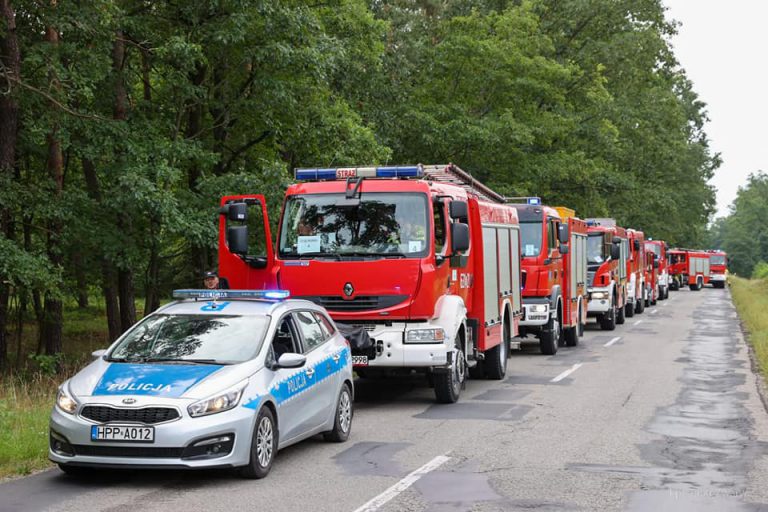 400 strażaków i 100 wozów w lasach