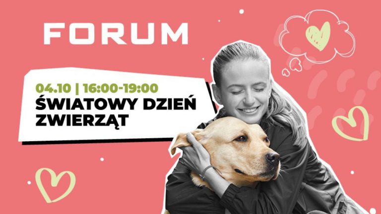 Kolejne pieski trafią do nowych domów. Akcja adopcyjna w Forum jest skuteczna