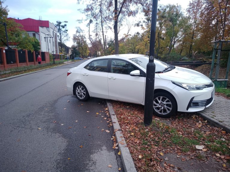 Oto „mistrzowie” parkowania. Zobacz galerię