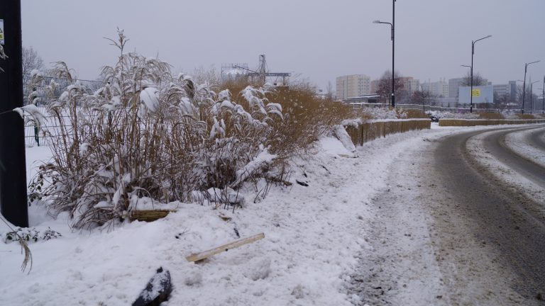 ZDM: „Ktoś zniszczył maty”. Internauci: „Zapewne pług odśnieżający”