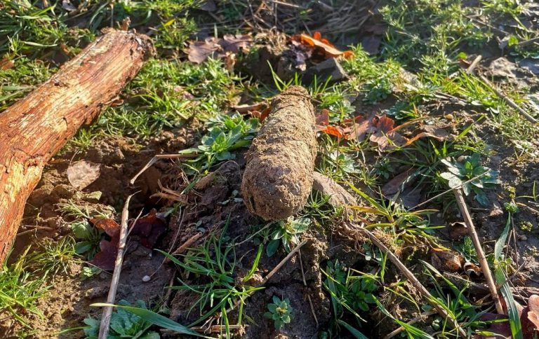 Policjanci pilnują niewybuchu. Znalazł go przechodzień