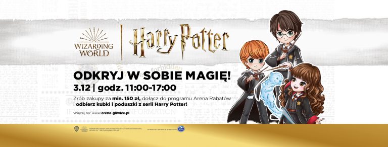 Harry Potter w Parku Handlowym Arena