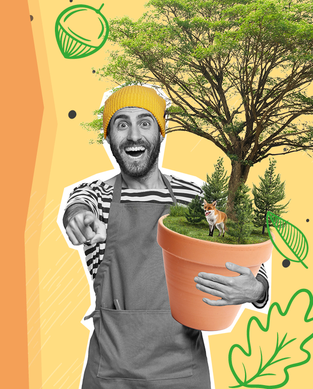 FORUM posadzmy razem las news x