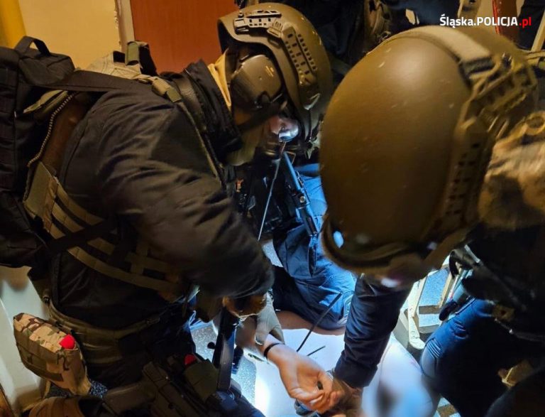 Zorganizowana grupa przestępcza rozbita. Zatrzymania w Gliwicach