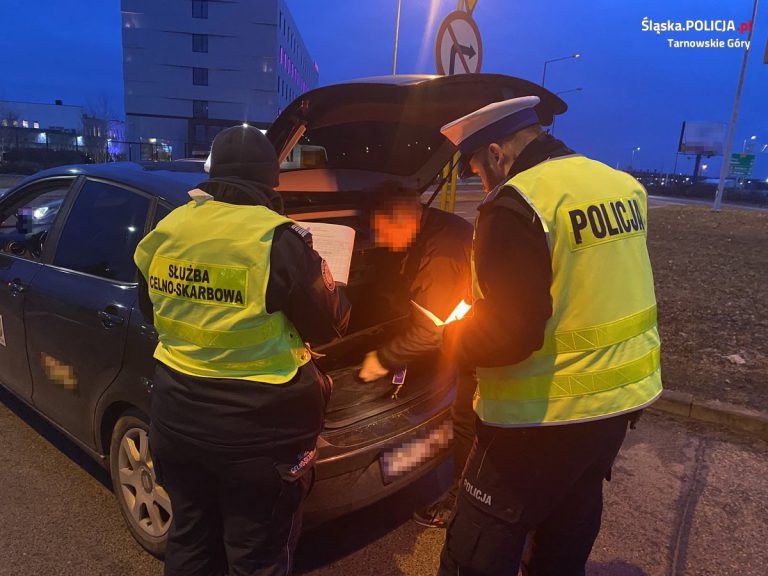 Służby sprawdzały taksówkarzy i przewozy z aplikacją