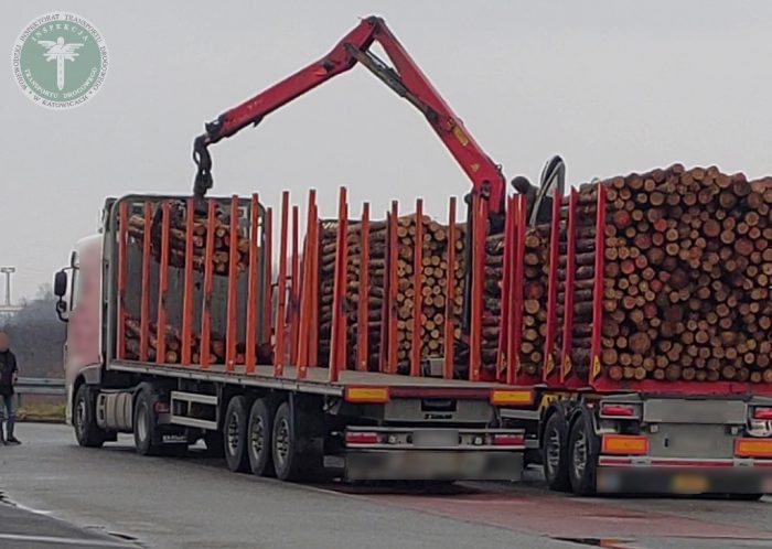 itd kontrola przeladunek drewno gliwice a