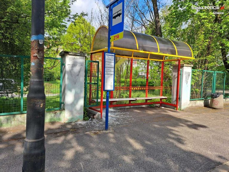Ukradł rower i młotek, zniszczył przystanek. 19-letni wandal