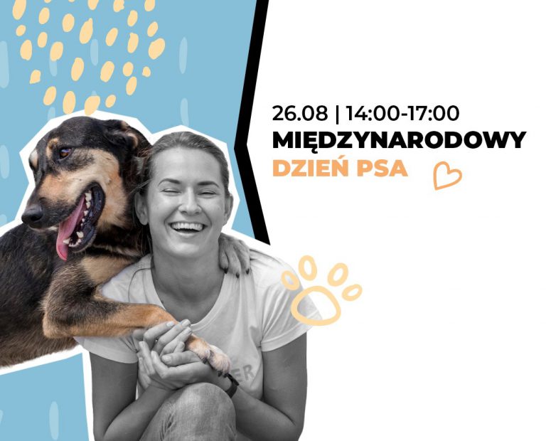 Adoptuj psa w Forum! Będą też warsztaty i możliwość wsparcia schroniska