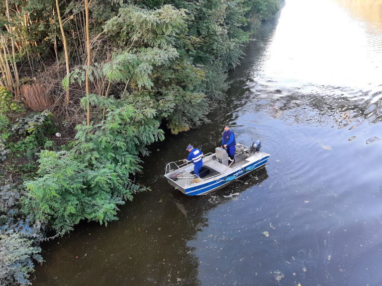 Śnięte ryby znów w Kanale Gliwickim