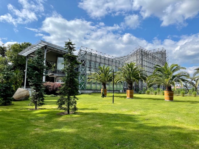 pexels egor kunovsky