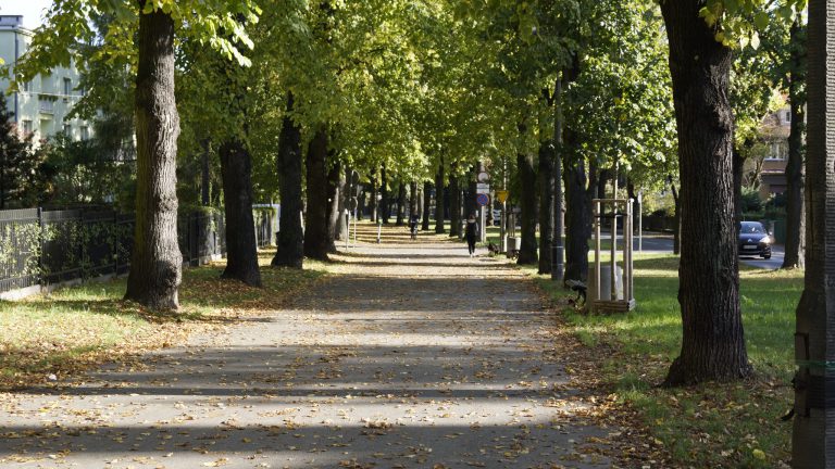 Przebudowa przy ul. Mickiewicza. Będą utrudnienia