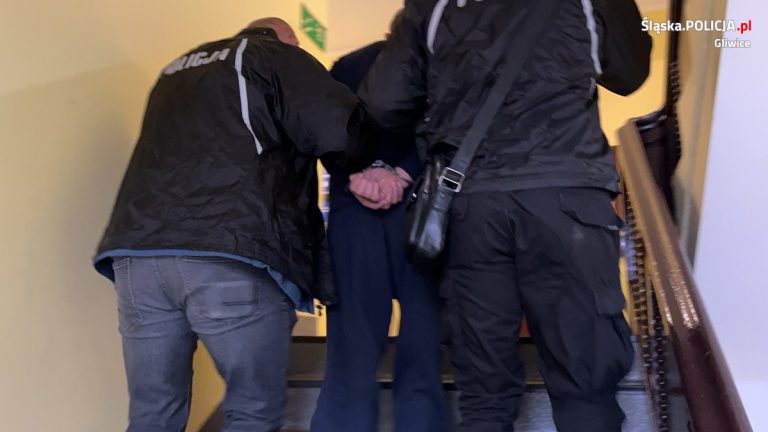 9 osób zatrzymanych przez gliwicką policję