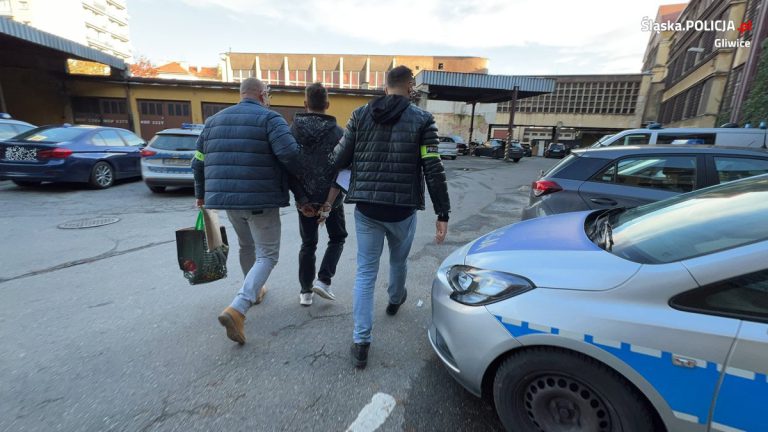 Śmiertelna bójka w Gliwicach. Aresztowano 18-letniego Polaka