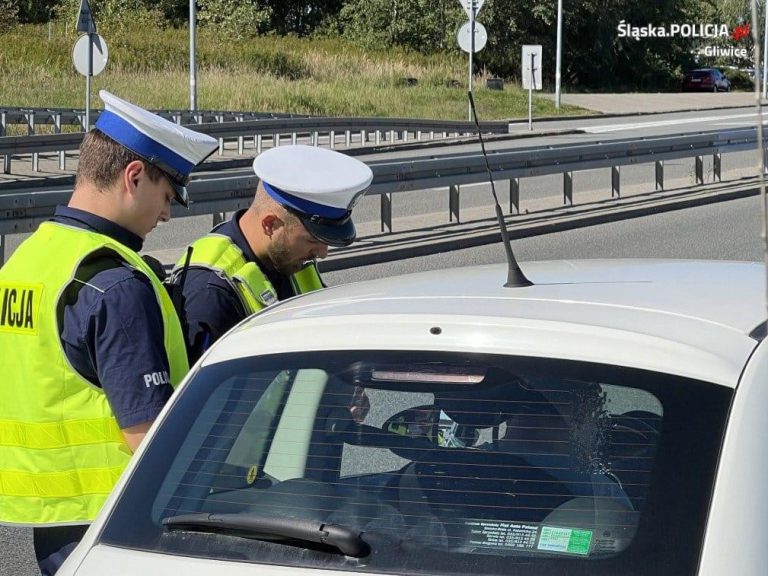 Wpadli podczas policyjnych kontroli