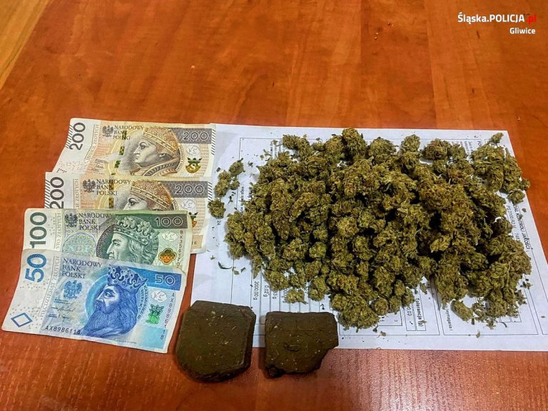 Mieli w mieszkaniach narkotyki. Akcja policji