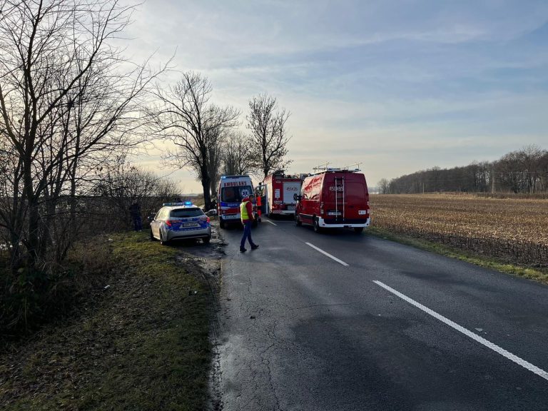 Tragiczny wypadek drogowy. Policja szuka świadków