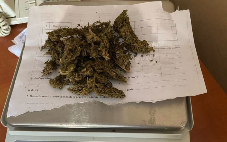 Miał w domu narkotyki. To mieszkaniec centrum Gliwic