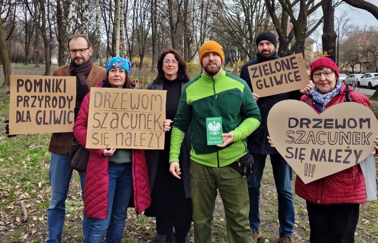 Drzewa pomnikowe w Gliwicach – co im grozi?