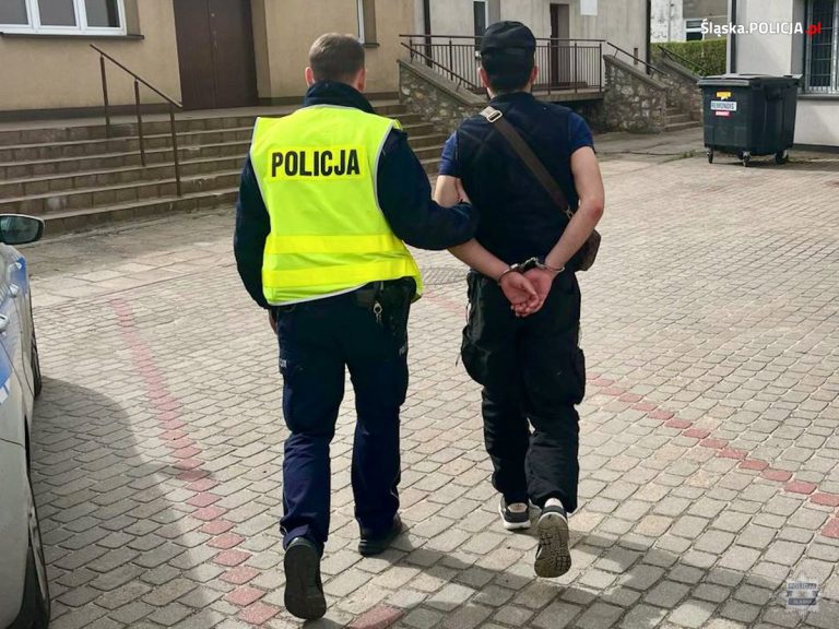 Dwaj obcokrajowcy zatrzymani. Za auto zapłacono fałszywymi banknotami