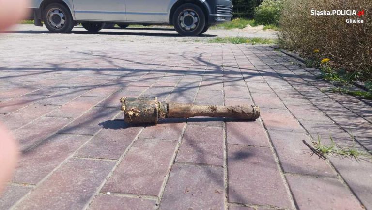 Pirotechnicy znowu w akcji. Co znaleziono blisko zabudowań?