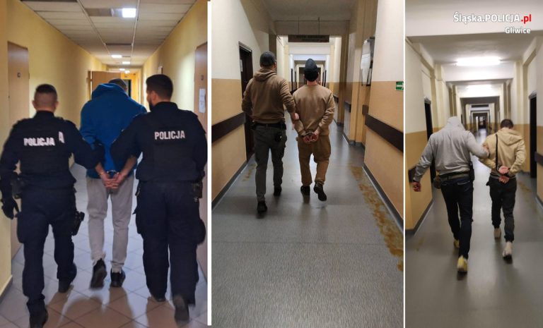 Zaatakował policjantów. Znaleziono sporo narkotyków