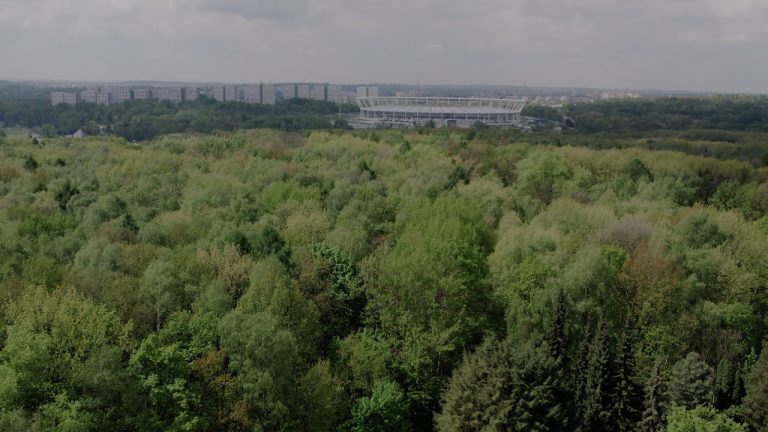 Park Śląski zmienia się na lepsze. Warto go odwiedzić