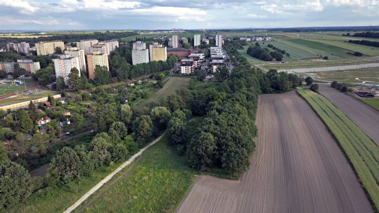 Dorodne dęby zostaną zachowane. Wśród nich powstanie osiedle