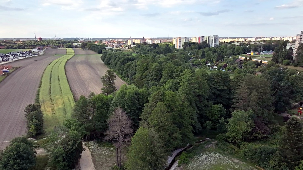 debowe zacisze gliwice