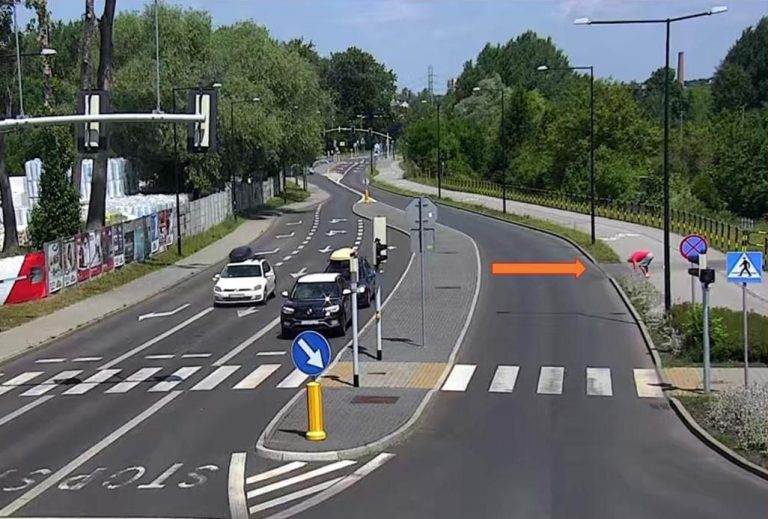 Chciał zabrać kwiatki posadzone przy ulicy. To wykroczenie