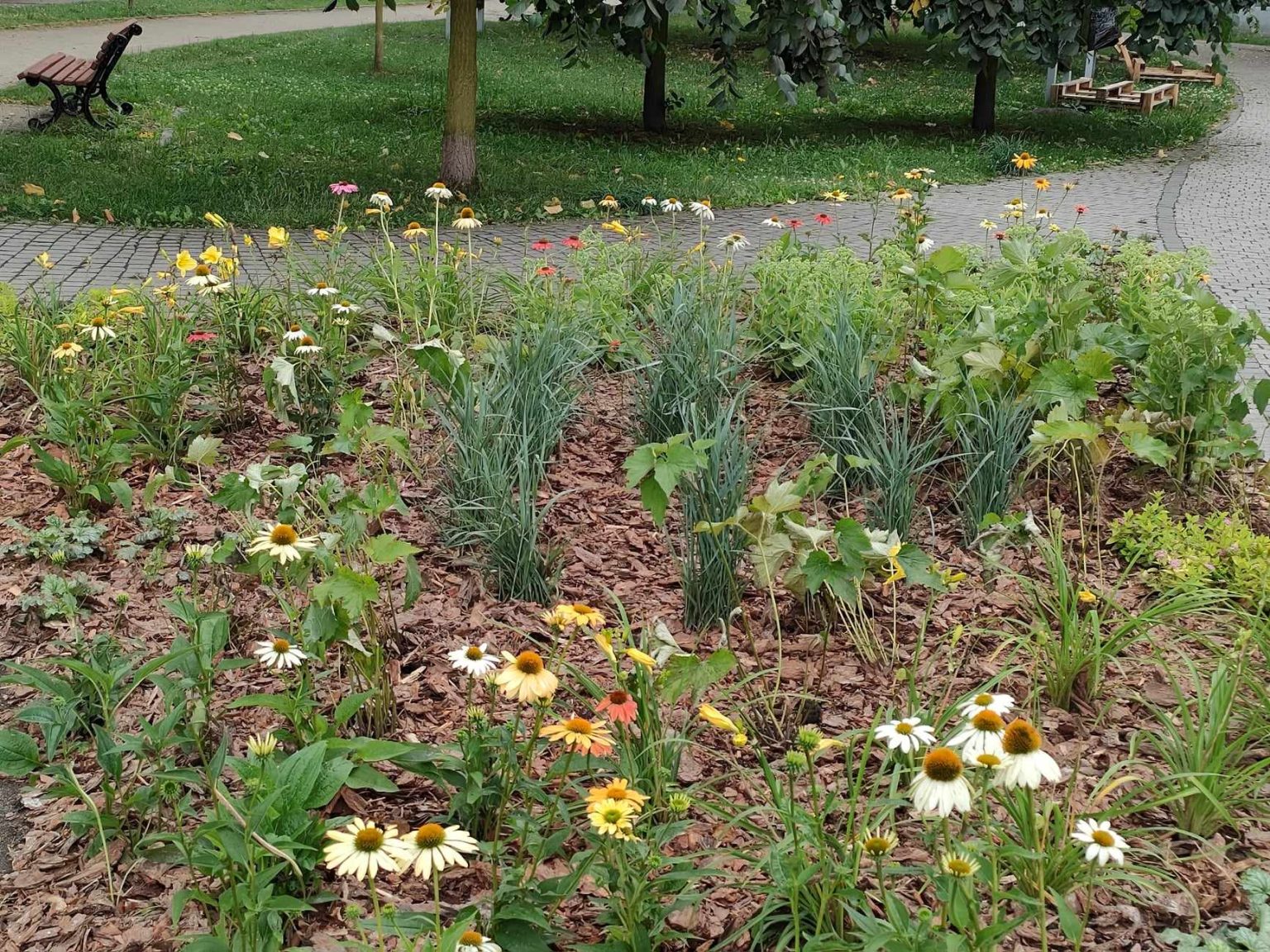 skwer bottrop gliwice