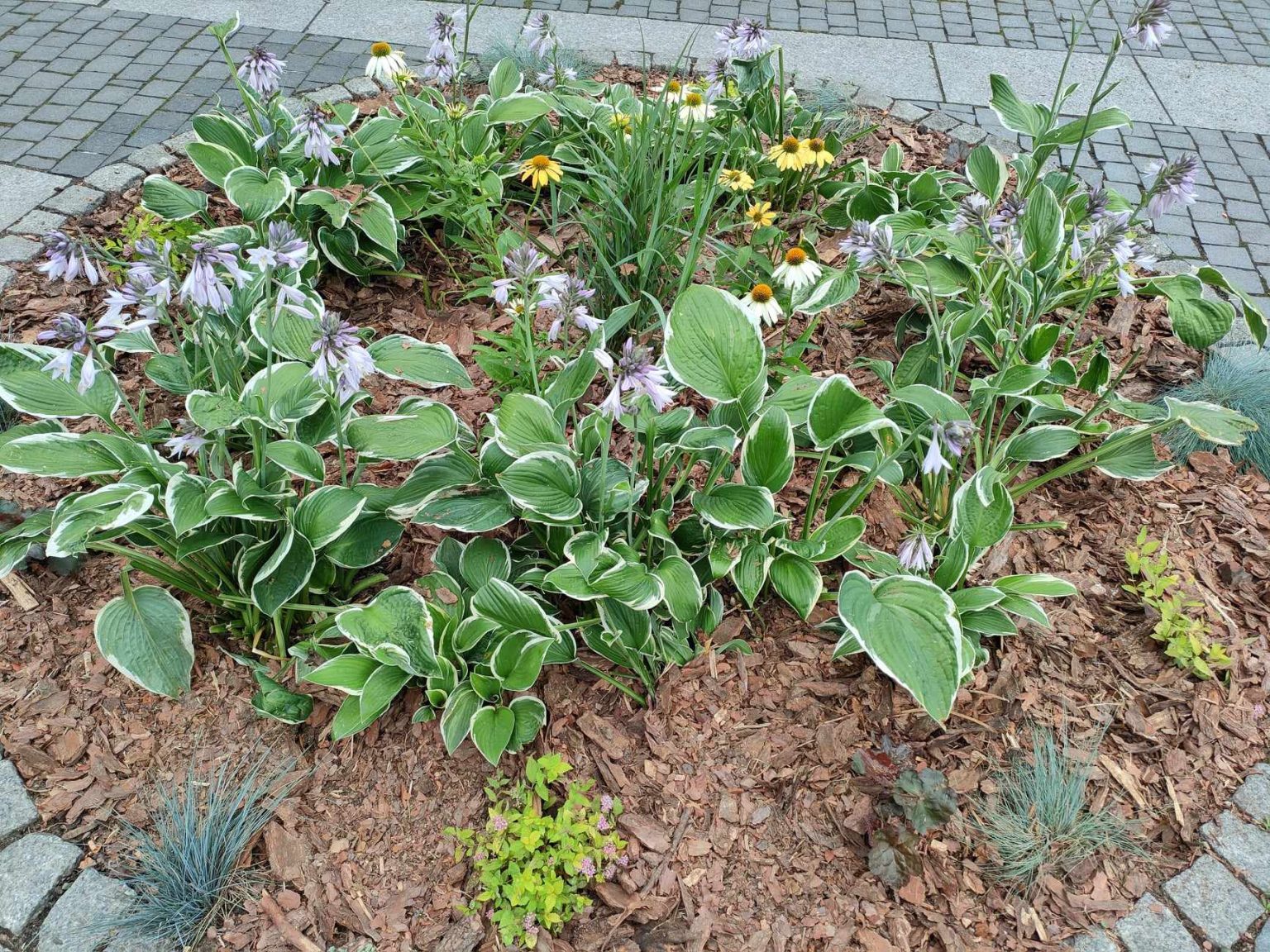 skwer bottrop gliwice