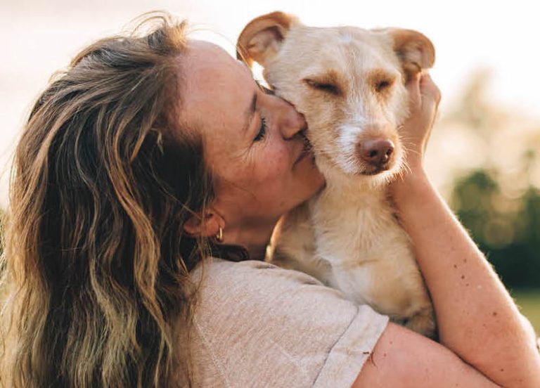 Przyjdź, pokochaj, adoptuj psa lub kota ze schroniska w Gliwicach