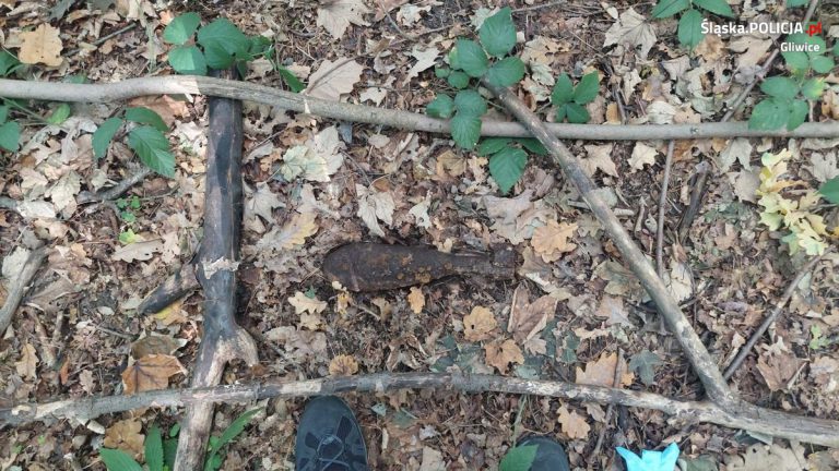 Szukali grzybów, a znaleźli pociski