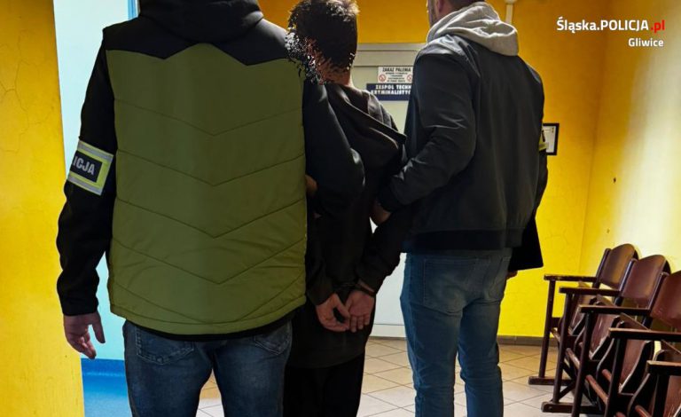 Gliwicka policja zatrzymała 15 osób poszukiwanych