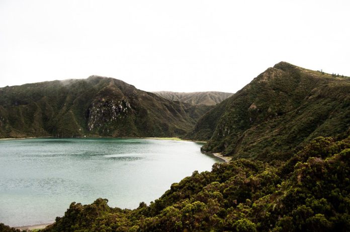 NowaZelandia natropiehobbitwismakwzkocawiata