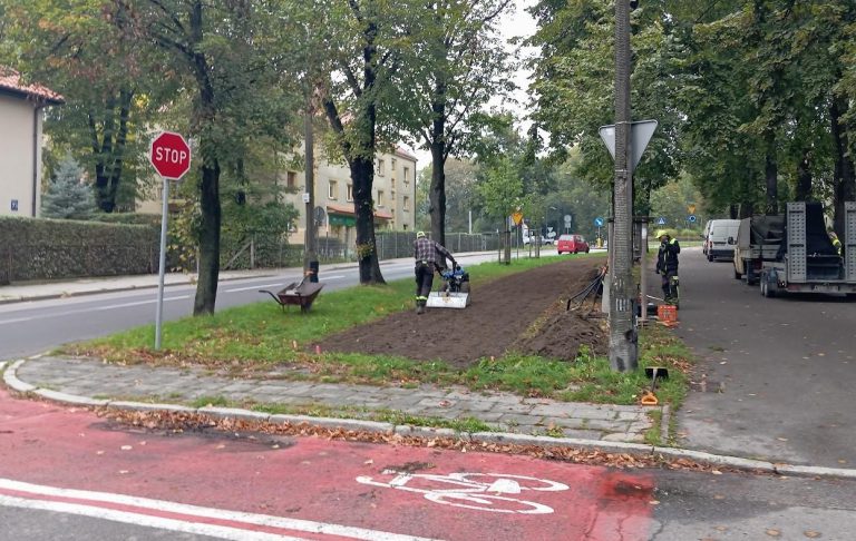 Mnóstwo kwiatów przy ul. Mickiewicza