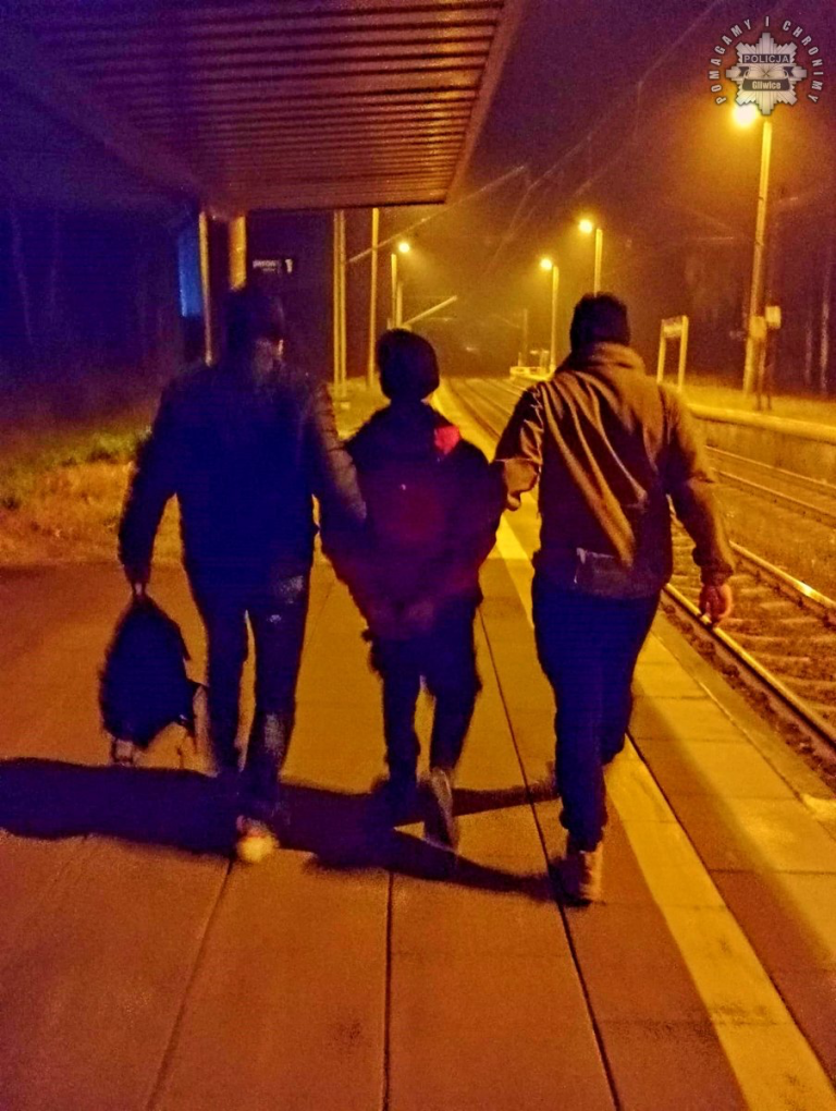 Chciał wykoleić pociąg? Mężczyzna zatrzymany