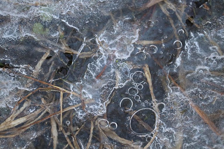 Dziewczynki bawiły się na zamarzniętym stawie